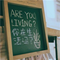 星月夜 的头像