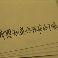 追剧小达人 的头像