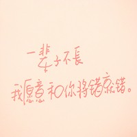 书虫小张 的头像