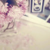 MoonlightSage 的头像