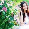 海棠的温柔 的头像