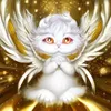 吃瓜群众 的头像