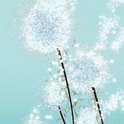 青霜剑 的头像