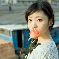 飞扬风筝 的头像