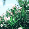 书海漫游 的头像