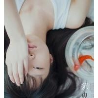 漂泊的云 的头像