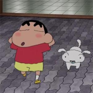 漂浮的思维宫殿 的头像
