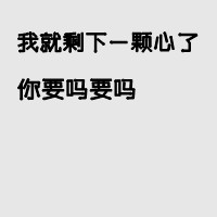 流光飞舞 的头像