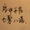 风中的蒲公英 的头像
