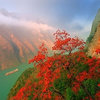 BlackholeBandit 的头像